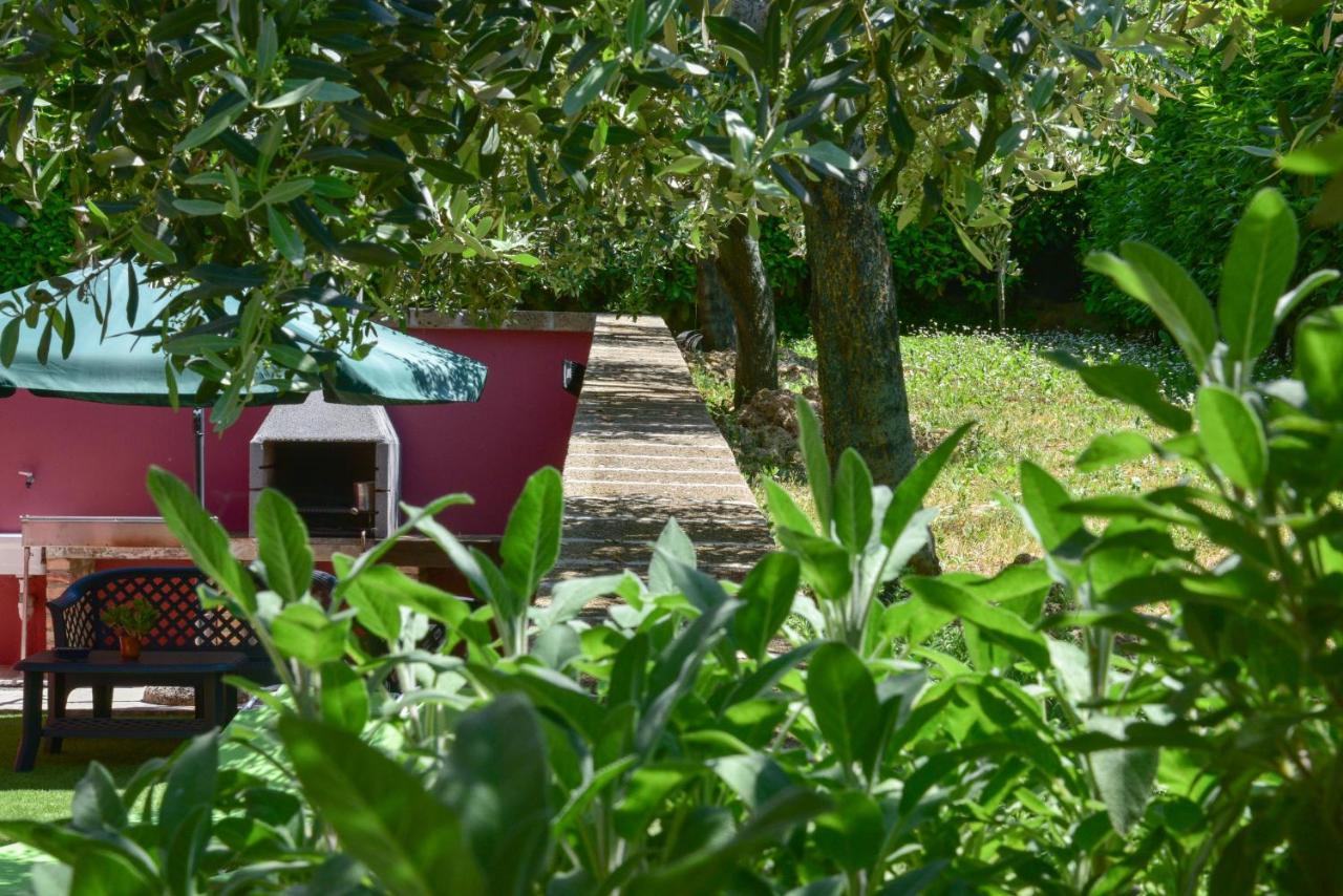 B&B Villa Passero Torricella Sicura Kültér fotó